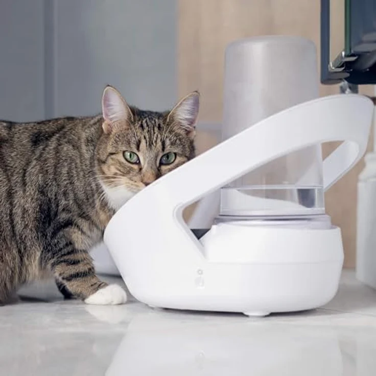 SureFeed Wasserautomat Felaqua Connect, Smart Trinkbrunnen für Katzen, Weiss (1 l) – Bild 4
