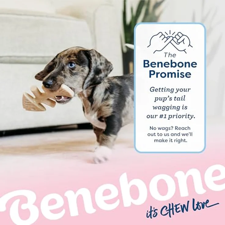Benebone Fishbone Puppy 2er Pack Mini 12cm - Hundespielzeug, blau – Bild 6