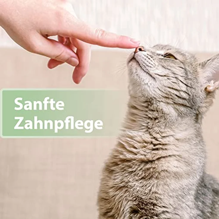 Felisept Zahnpflege Finger-Pads für Katzen, 50 Stück, zur Plaque-Reduktion und frischem Atem – Bild 4