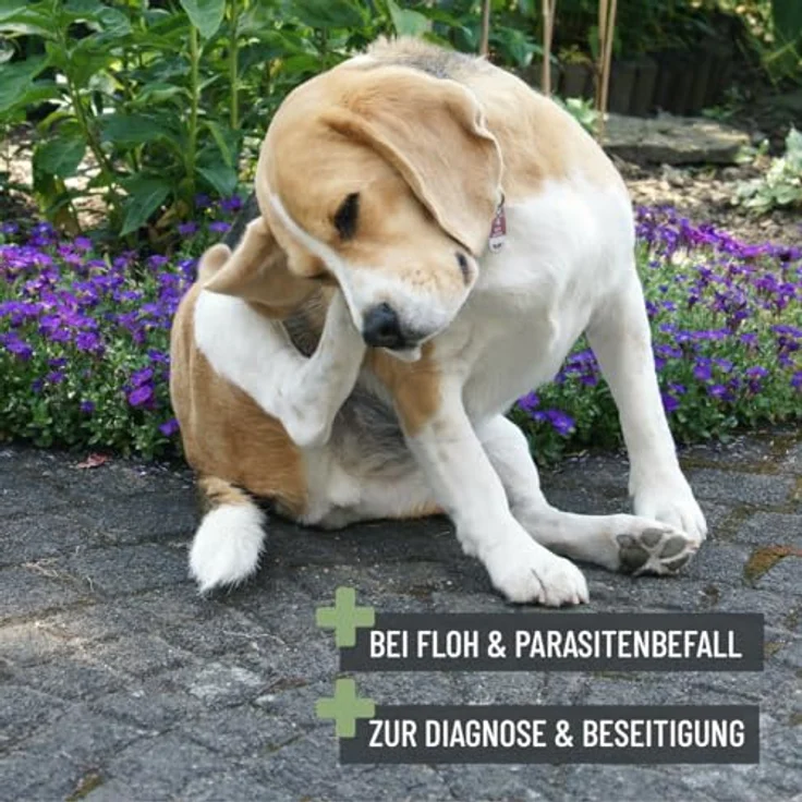 ReaVET Flohkamm & Läusekamm für Hunde & Katzen - Fellkamm gegen Flöhe, Läuse, Parasiten I für Langhaar & Kurzhaar I zur schonenden Fellpflege, Zeckenkamm Hund Katze – Bild 3