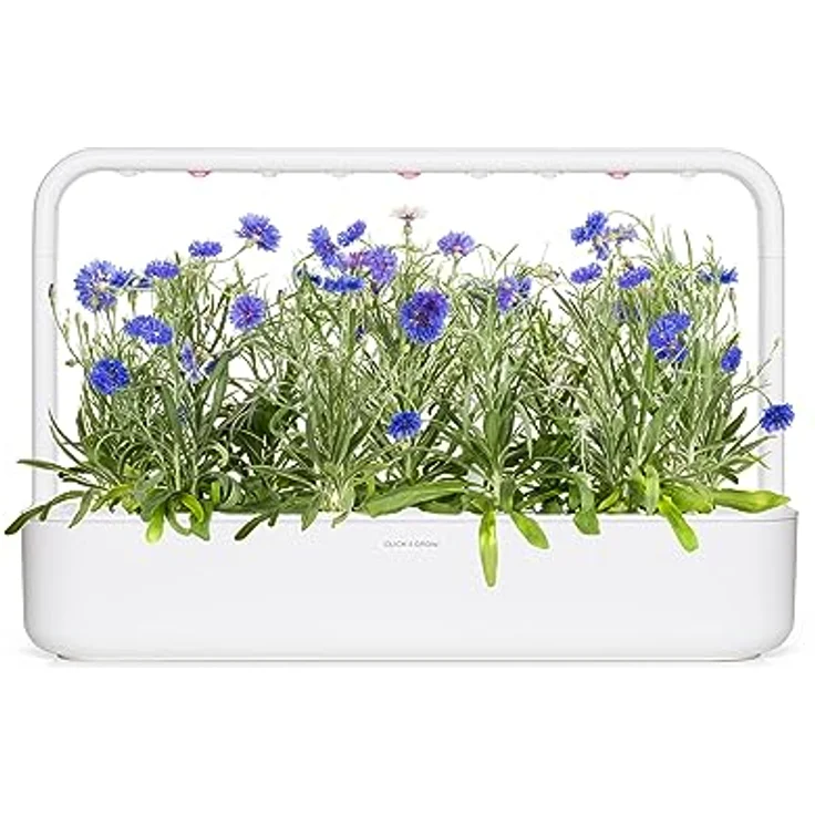 Click & Grow Kornblumen Nachfüllkapseln, 3er-Pack für Smart Garden, 100% biologisch abbaubar, einfaches Anpflanzen ohne Aufwand – Bild 5
