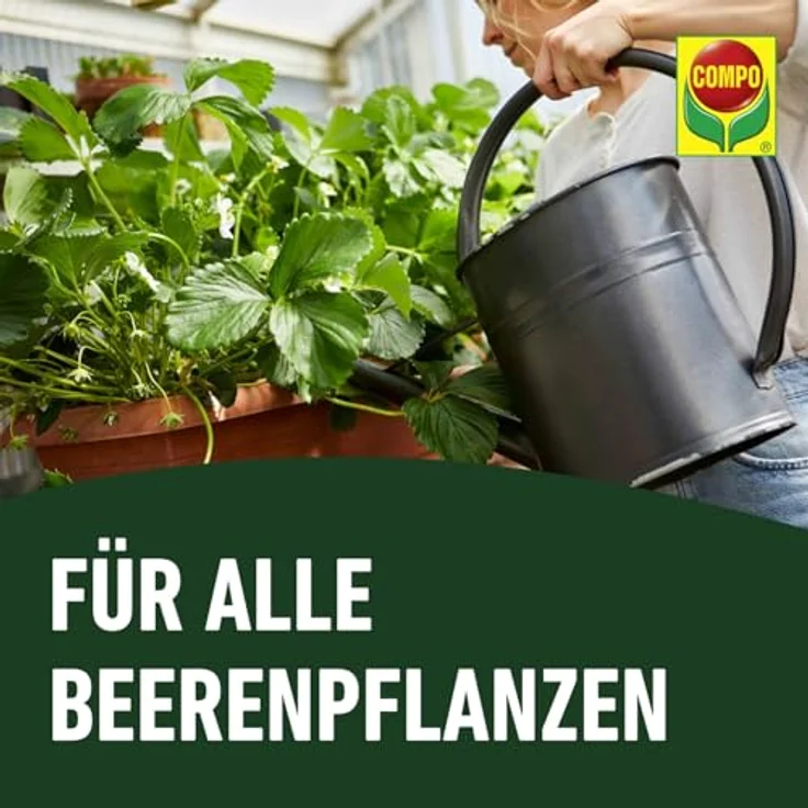 Compo BIO Beeren Langzeit-Dünger mit Schafwolle 750 g – Bild 8