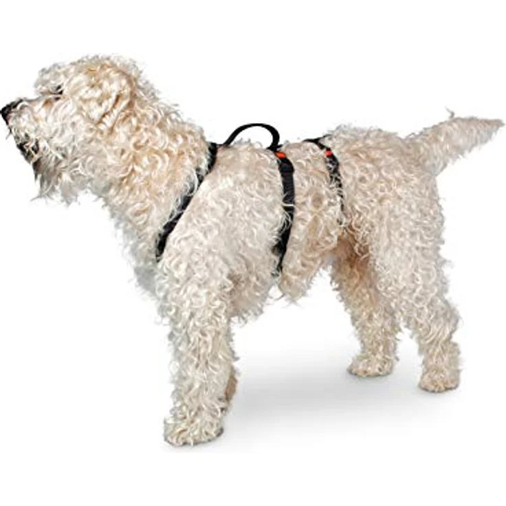 Karlie Art Sportiv Sicherheitsgeschirr, stufenlos verstellbar, Nylongurte mit Neopren, für Brustumfang 29-40 cm, schwarz – Bild 3