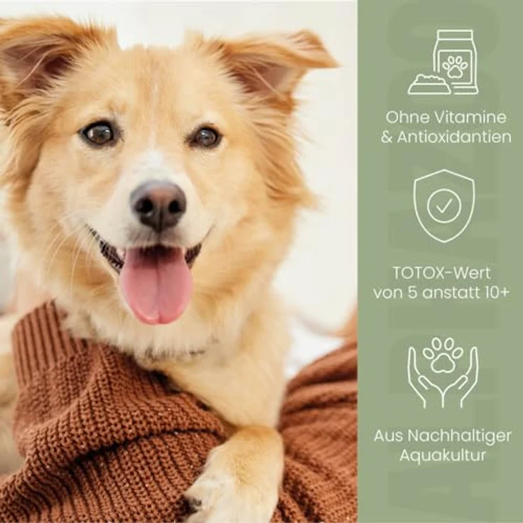 ALPHAZOO Premium Lachsöl für Hunde & Katzen, 250 ml, reich an Omega-3 Fettsäuren, natürliches Fischöl für Haut und Fell – Bild 5
