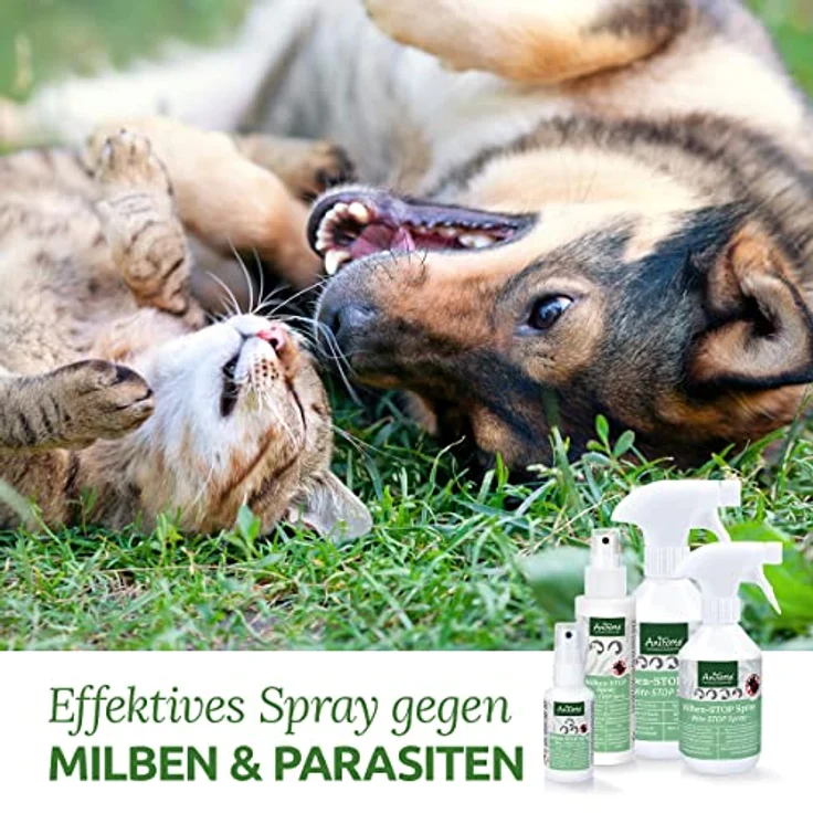 AniForte Milbenspray für Hunde & Katzen 100 ml - Antimilbenspray zur effektiven Abwehr von Insekten, Parasiten & Ungeziefer, Milbenstop & Milbenschutz bei Milbenbefall – Bild 4