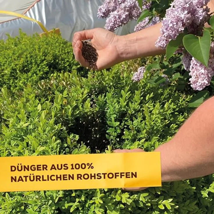 SBM Solabiol Buchsbaum Dünger, 1,5 kg – Bild 5