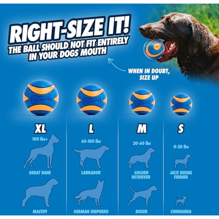Chuckit! Ultra Squeaker Hundespielzeug, Gummi, hohe Sprungkraft, Größe XL, orange-blau – Bild 4