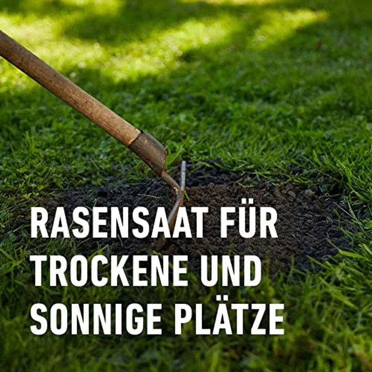 COMPO SAAT Trocken-Rasen, 1 kg für 50 qm – Bild 3
