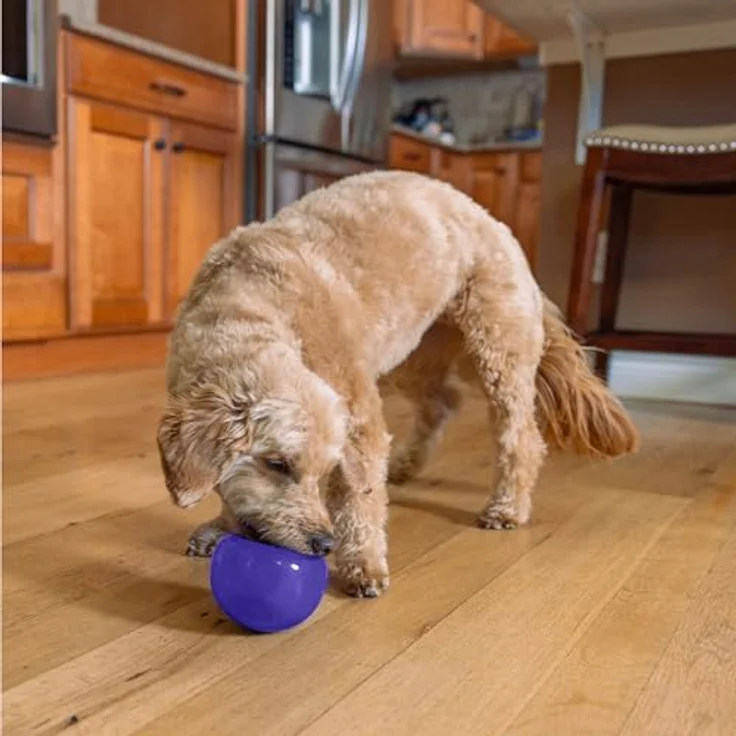 Outward Hound Planet Dog Orbee-Tuff Lil' Snoop - Interaktives Spielzeug für Hunde - Snackball - Lila - Klein – Bild 2