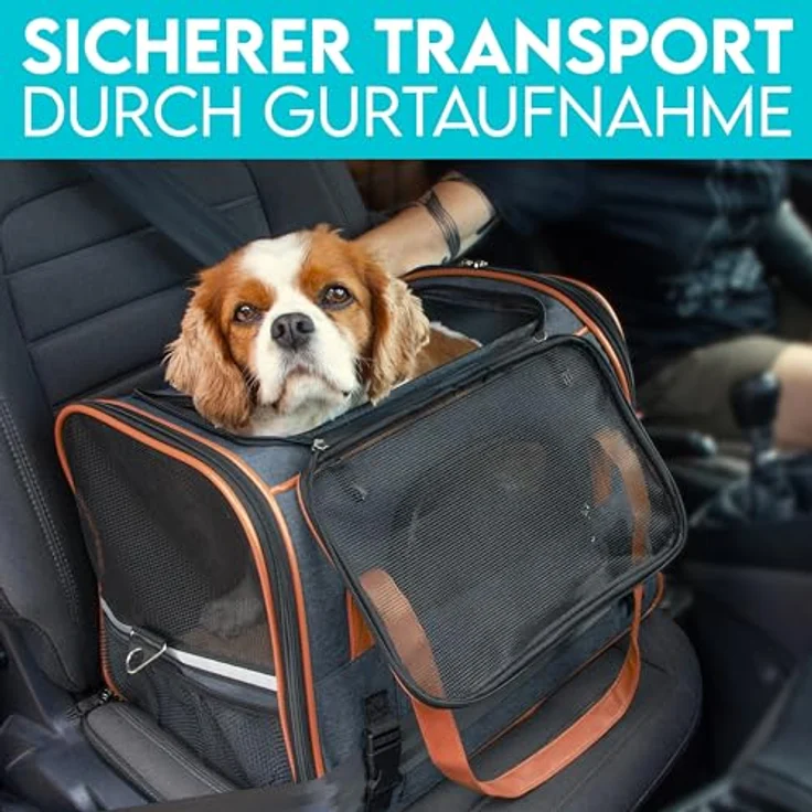 HUND IST KÖNIG Hundetasche & Katzentasche bis 8kg - Denim-Farben mit Lederimitat - Faltbare mobile Tragebox für Hunde & Katzen bis 8kg – Bild 5