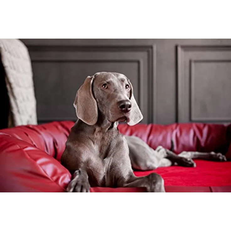 tierlando® Orthopädisches Hundebett Sammy | Kunstleder-Velours-Mix | Dicke Umrandung | L - XXXXL Hundesofa Grau Gr. XXL 140 cm – Bild 3