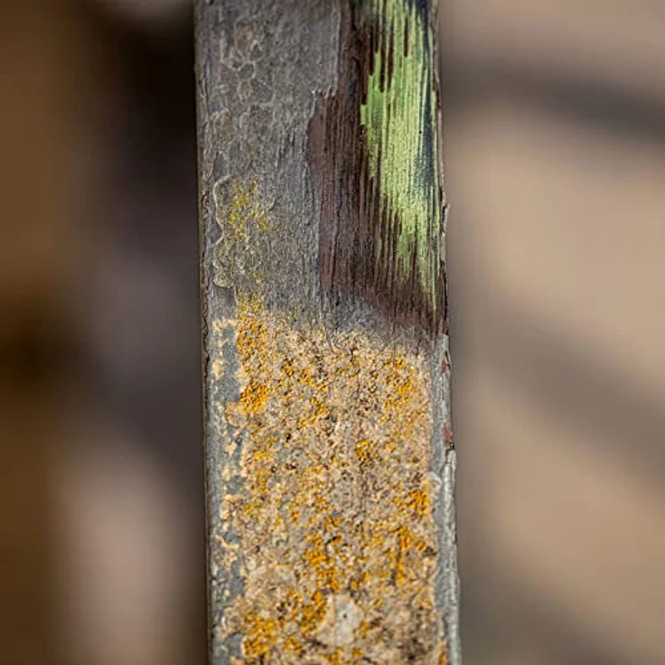 Scheppach Metalldrahtbürste MRS1300, 100mm Breite - 120mmØ, Walze für Holz, Stein & Metall, geeignet zum Schleifen & Abisolieren – Bild 5