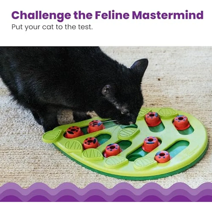 Nina Ottosson von Petstages Buggin Out Puzzle & Play - Interaktives Katzenspielzeug für Leckerlis Hund – Bild 2