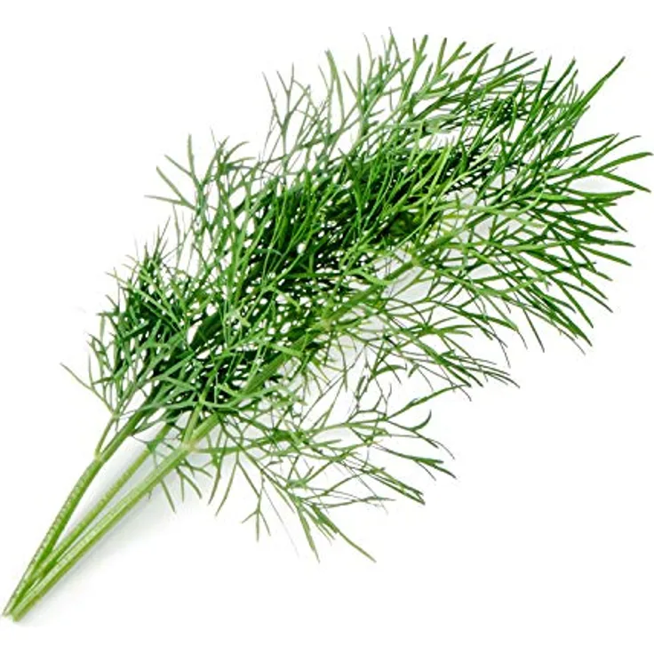 VT Lingot Dill BIO