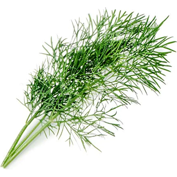 VT Lingot Dill BIO - Preisvergleich – Bild 2