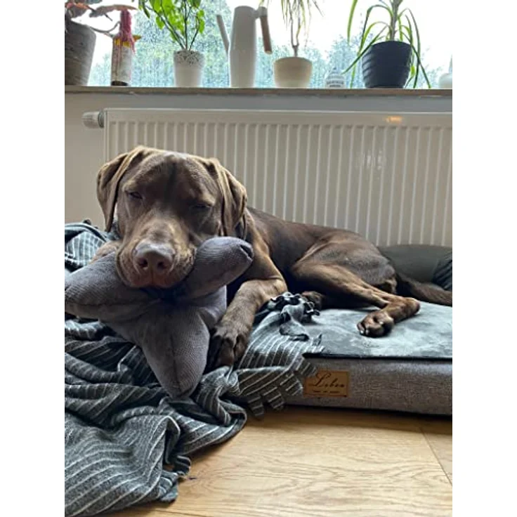 Lebon - Cruto XL - Hundekissen Kopfkissen - Zum entspannen und Spielen Made in EU – Bild 5