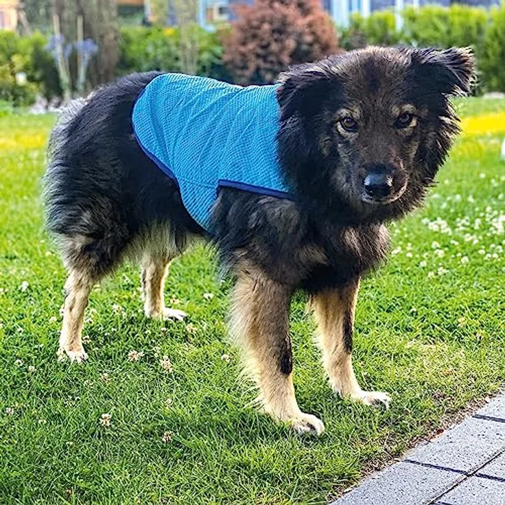 Nobby 30 cm Hunde-Kühljacke Light - Ultraleicht - sauffähiges Eva Gewebe - einfach Wasser einfüllen – Bild 5