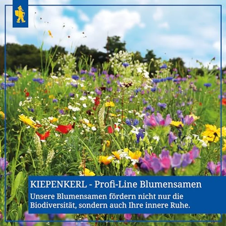 Kiepenkerl Saatgut Schattenblumen 3-4 m² - Preisvergleich – Bild 4