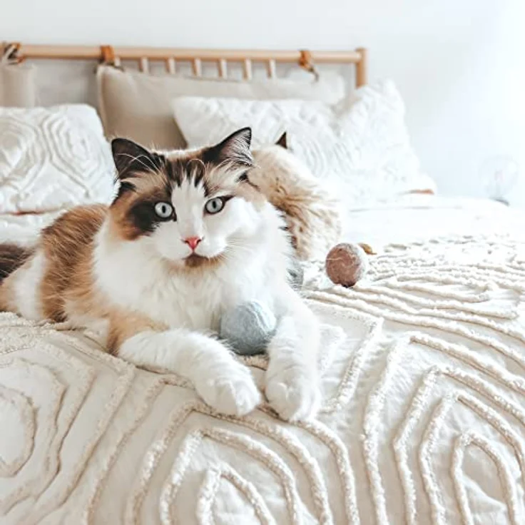 LucyBalu® Filzbälle mit Glöckchen für Katzen | Katzenspielzeug | Katzenbälle aus Filz | Katzen Spielsachen aus Wolle | Natürliches Spielzeug für Katzen | Spielbälle für Katzen mit Glocke | 3 Stück – Bild 3