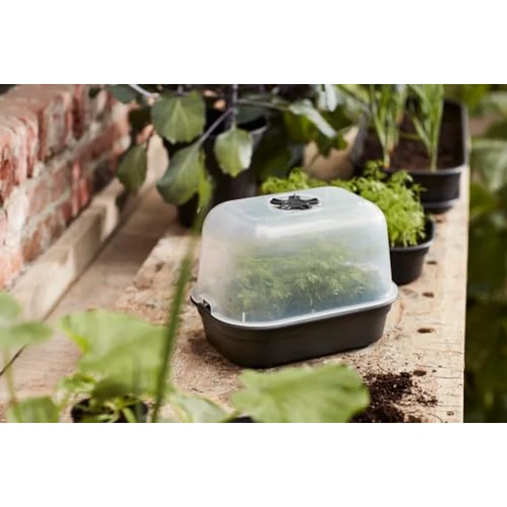 Elho Green Basics Anzucht Untersetzer Small - Lebhaft Schwarz – Bild 6