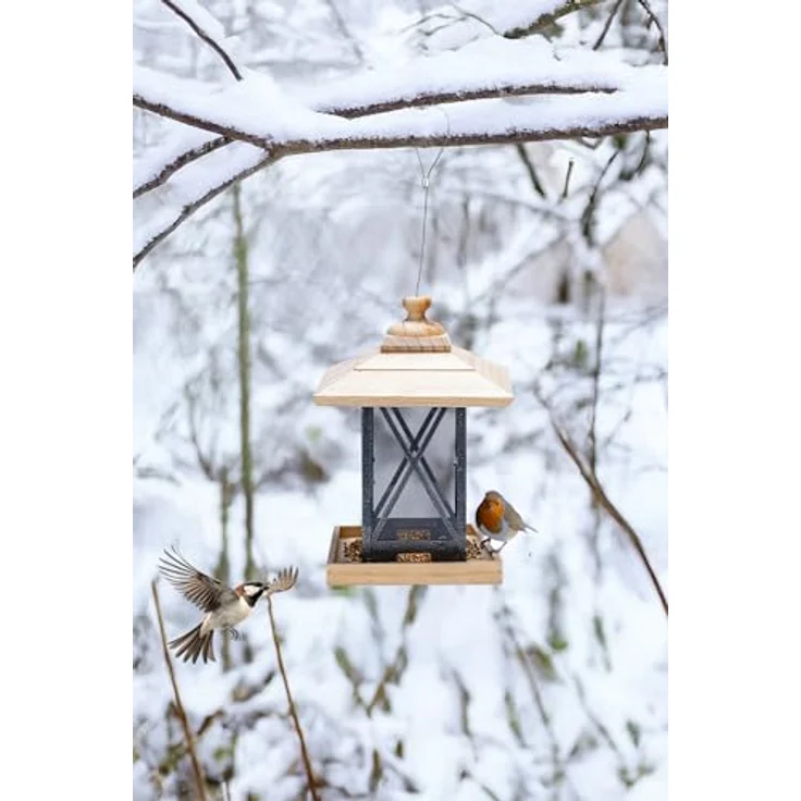 Karlie Vogelhaus Vogelfutterhaus Vogelfutterstation Ruth, 22 x 22 x 32 cm, langlebiges Holz, transparente Acrylwände, Metallrahmen – Bild 2