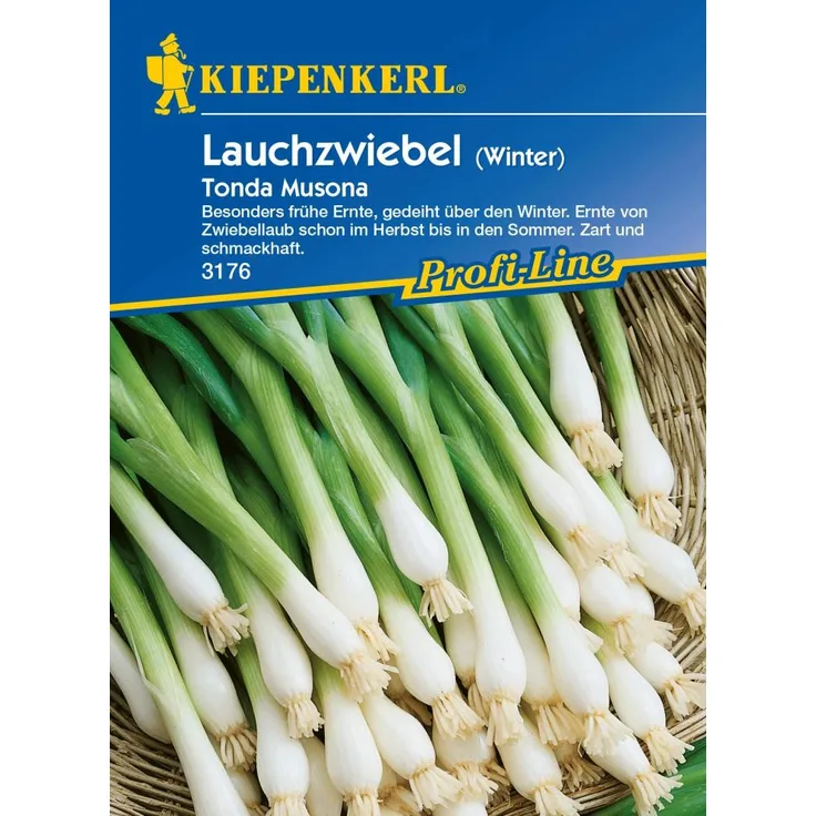 Kiepenkerl Winterlauchzwiebel Tonda Musona Allium cepa, Inhalt: ca. 6 lfd. Meter