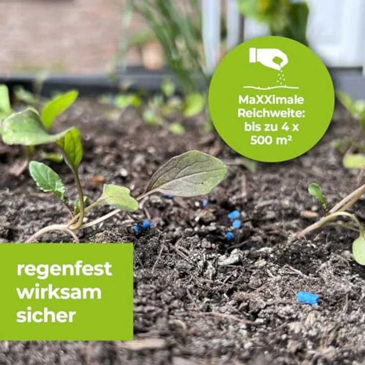 Bayer SchneckenkornProtectMaXX 1 kg – Bild 5