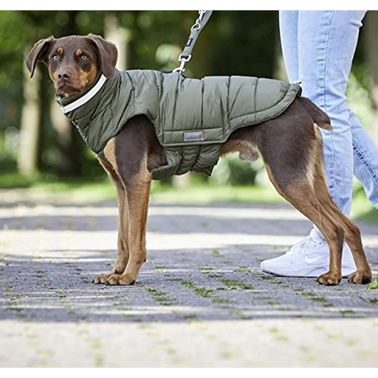 Wolters Steppjacke Cosy, Größe:42 cm, Farbe:Olive – Bild 2