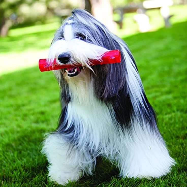 KONG – Squeezz Ball – Robustes Quietschspielzeug, Springt und Quietscht bei Perforierung (Farbvar.) – Für Mittelgroße Hunde – Bild 2
