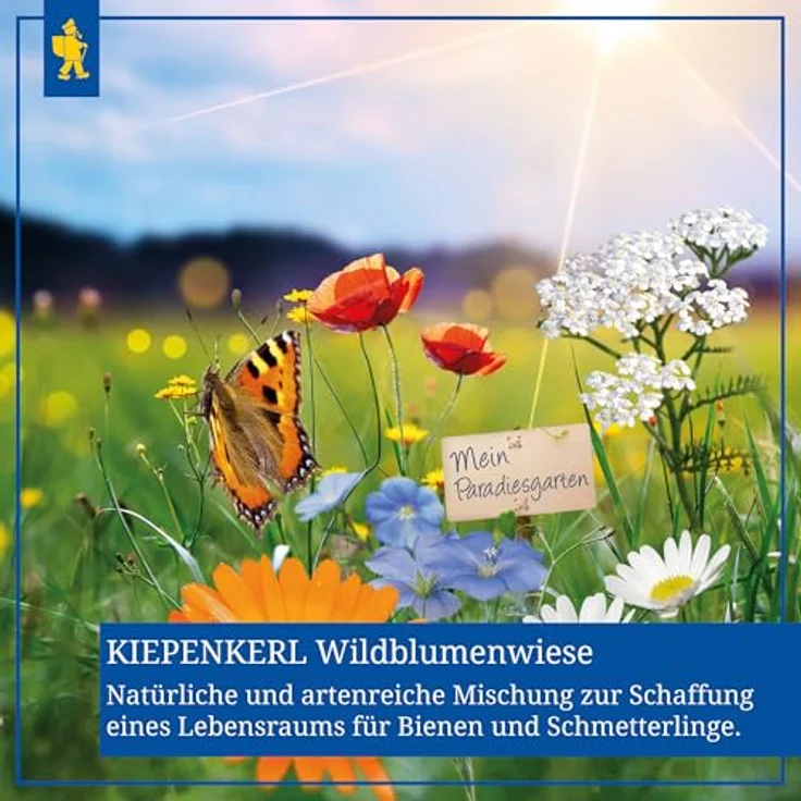 Nebelung, Bruno Wildblumen - Wiese Nature 0,25 kg – Bild 4