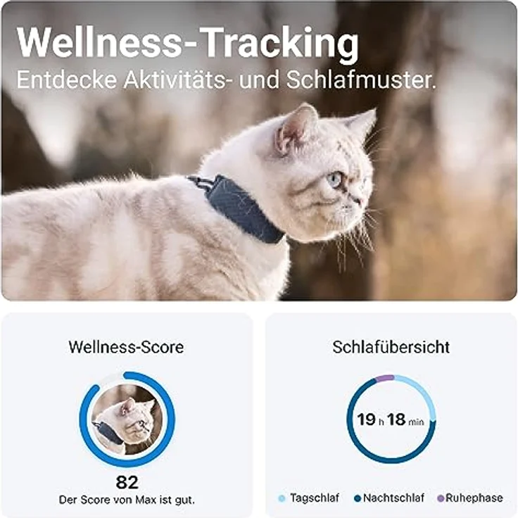 Tractive GPS Tracker Katze | Ortung rund um die Uhr & Revier-Funktion | Weglaufalarm | Unbegrenzte Reichweite (Blau) - Preisvergleich – Bild 3