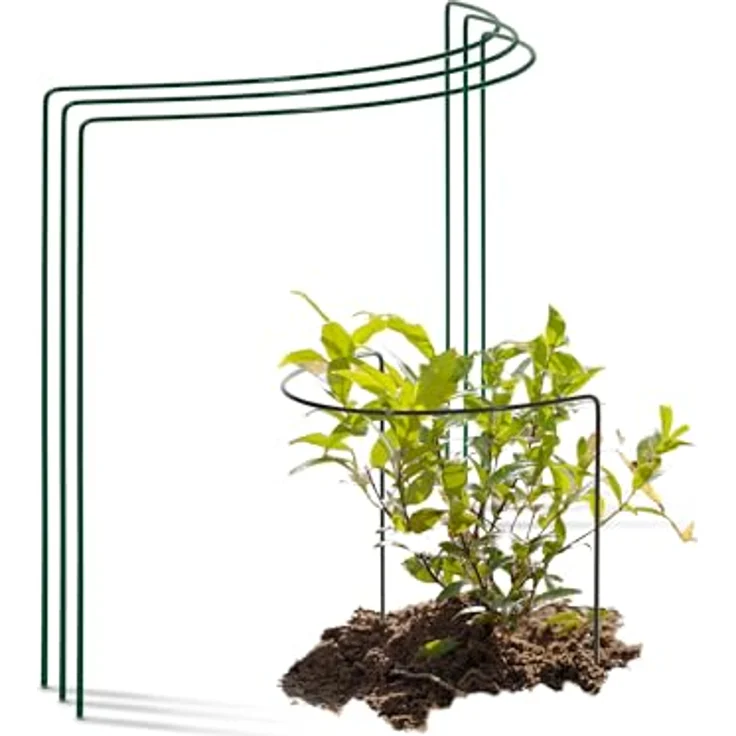Novatool 3er Set Halbrunde Strauchstütze aus Metall, 40 cm hoch, Ø 35 cm, grün, für Pflanzenstärkung und Rankhilfe – Bild 1