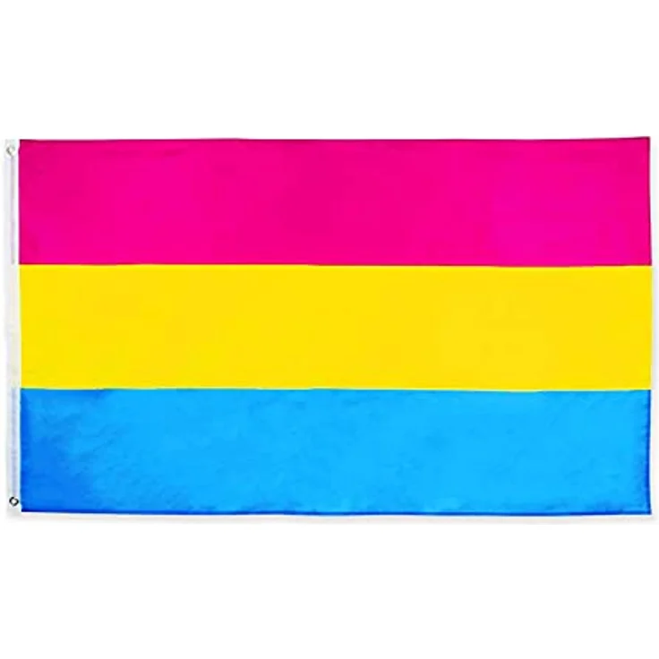 MOGADEE Pansexual Pride Flag, 90 x 150 cm wetterfeste Flagge mit Messingösen, doppelt gefaltet, für Innen- und Außenbereich, LGBT-Aktivitäten – Bild 1