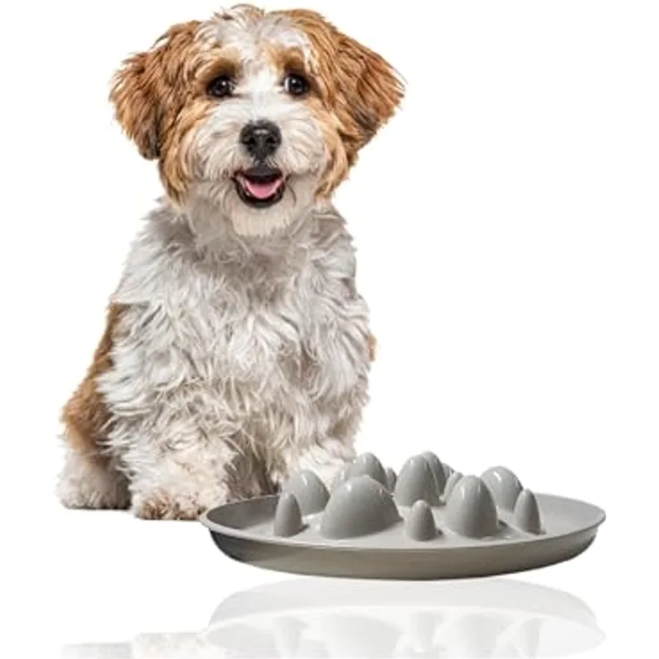 Rohrschneider® Antischlingnapf Hunde | Antischlingnapf Katze | Futternapf Katze | Futternapf Hund | Fressnapf Hund | Fressnapf Katze … (Grau)