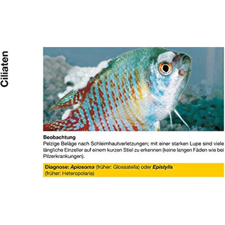 sera costapur F 500 ml, Arzneimittel für Fische gegen Ichthyophthirius multifiliis und Hautparasiten, sichere Heilkraft für Zierfische – Bild 3