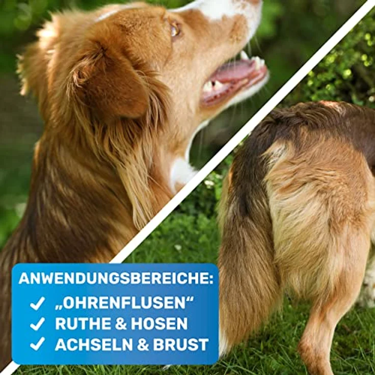 BluePet® Profi Entfilzungskamm für Hunde und Katzen | Entfilzungshaken | Entfilzungsmesser | Entfilzungsharke Katze | Knoten Entferner Katze | Entfilzungskamm Hund | Entfernt Verfilzungen und Knoten – Bild 4