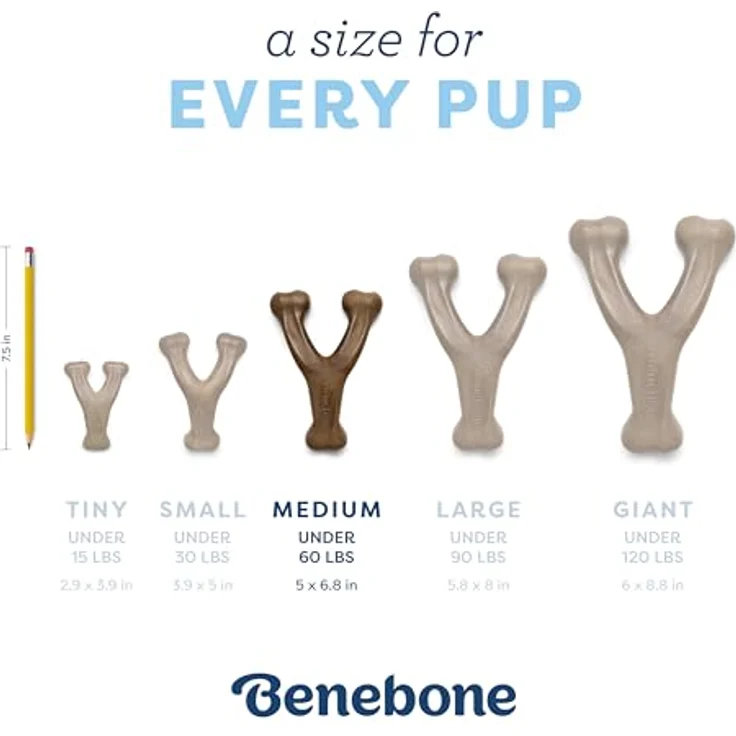 Benebone Puppy Wishbone Bacon M, 18cm - (854111004897) (Kauspielzeug), Hundespielzeug – Bild 5