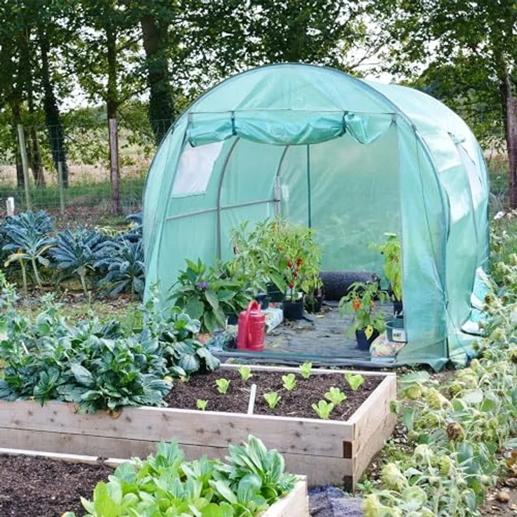 NATIV Robustes Foliengewächshaus, Tomaten Gewächshaus mit 2 Fenstern, Tomatenzelt aus Stabiler Gewächshausfolie, Tomatenhaus mit aufrollbarer Türe, Überwinterungszelt für Pflanzen 300 x 200 x 200 cm – Bild 4