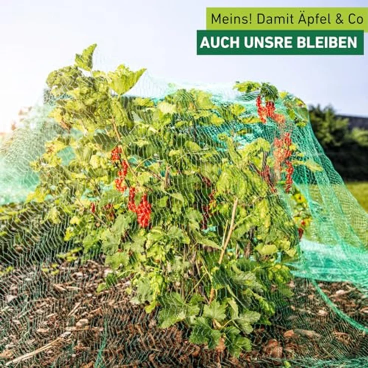 Windhager Vogelschutz-Netz RATIONAL, Grün, 10 x 4 m, Maschenweite 15 mm, UV-stabilisiert für zuverlässigen Schutz vor Vogelfraß – Bild 2