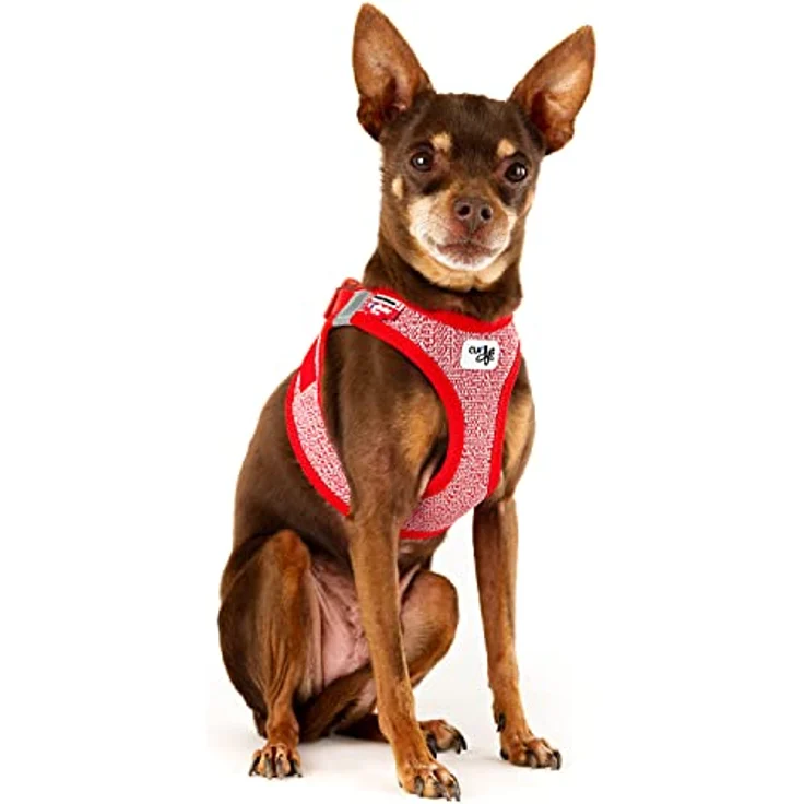 Vest Harness Merino curli Clasp Red 3XS – Bild 2