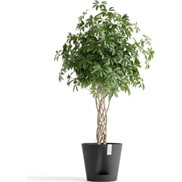 Ecopots Übertopf Venedig 2, Selbstbewässernder Blumenkübel aus nachhaltigen Materialien, UV-beständig, für Innen- & Außenbereich – Bild 3