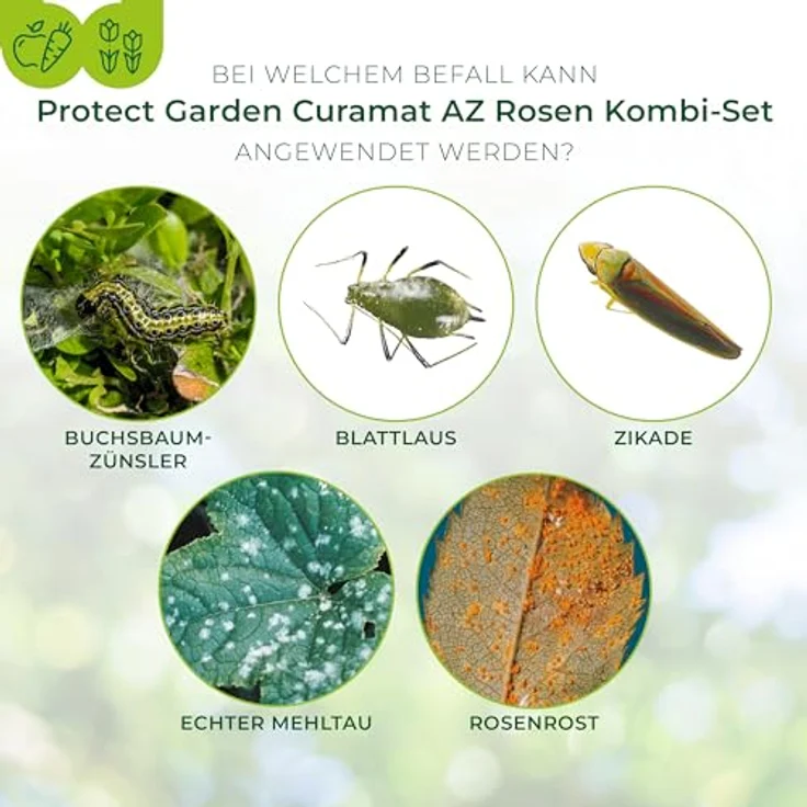 PROTECT GARDEN Curamat AZ Rosen Kombi-Set, 2 in 1 Rundum-Schutz vor Pilzkrankheiten und Insektenbefall, 2 x 4 ml + 15 ml Konzentrat, Gelb – Bild 4