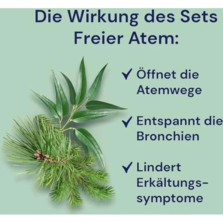 Spitzner Saunaaufguss-Set Saunamed, 4 x 190 ml, würzig-frischer Duft mit Menthol und Nadelbaumölen für freies Atmen – Bild 2