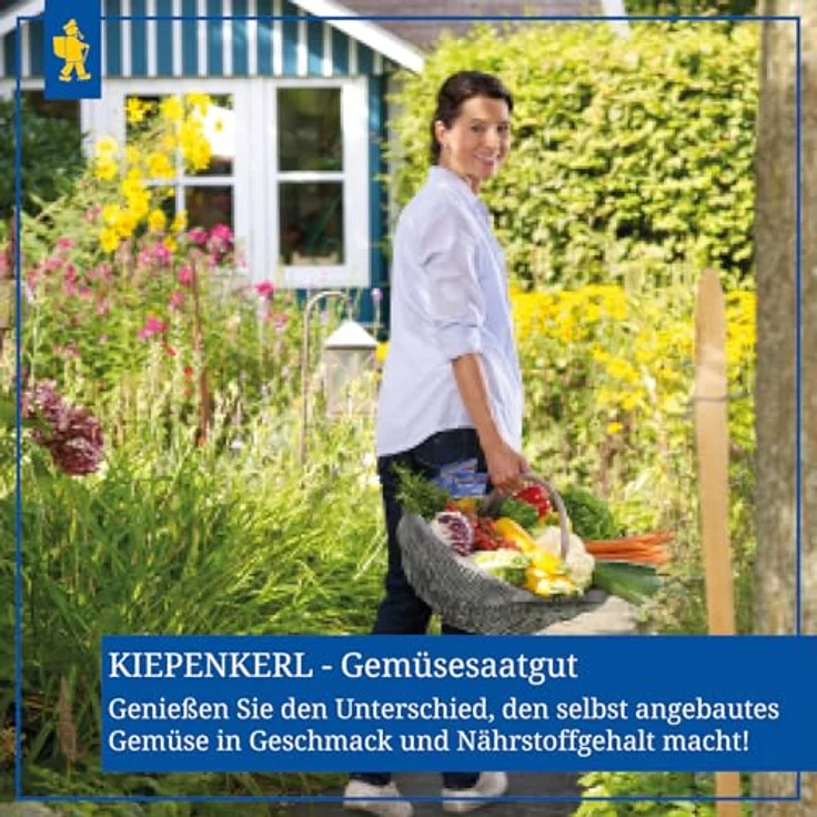 Kiepenkerl Stangenbohnen Limka flachhülsig – Bild 5