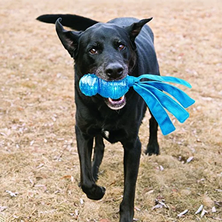 KONG Wubba Comet groß – Bild 2