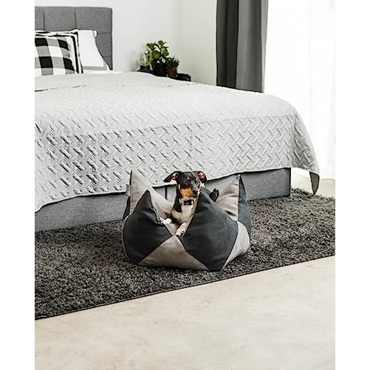 lionto Kronenkissen Sternenkissen Hundebett Katzenbett Haustierkissen, 60x35 cm grau/schwarz – Bild 3