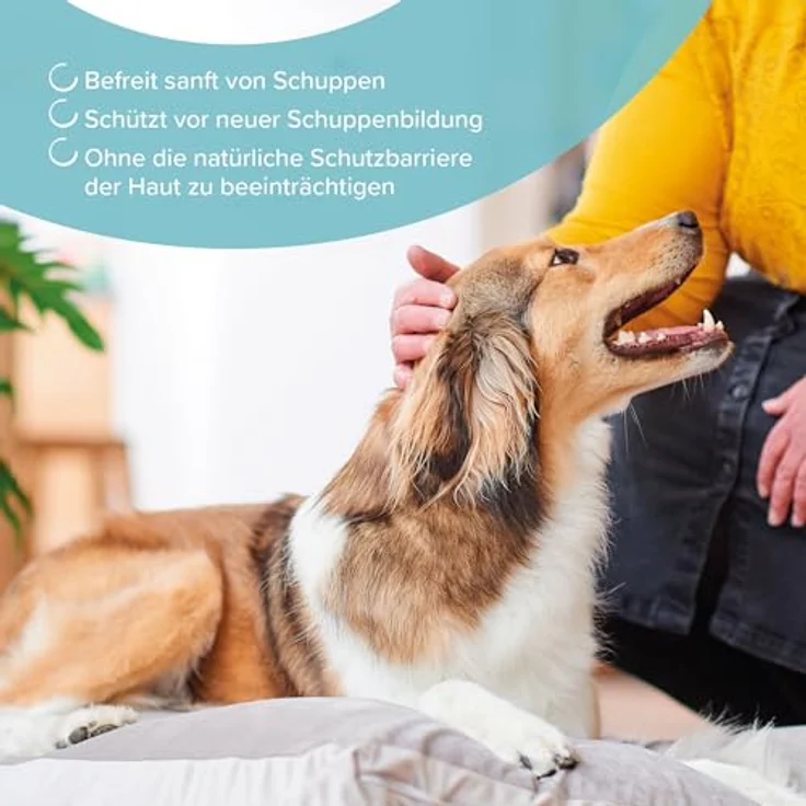 beaphar Tiershampoo Anti-Schuppen Shampoo 250 ml, milde Hautpflege für Hunde, angereichert mit Kamille und Pirocton-Olamin – Bild 5