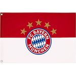 FC Bayern Fahne Originalware Flagge 100 x 150 cm Motiv LOGO + Ösen Service - Preisvergleich