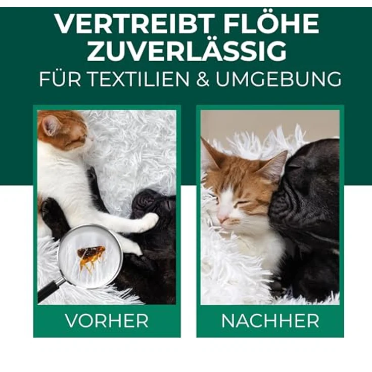 Silberkraft Insektenspray Flohspray Textil & Umgebung 500 ml, gezielte Flohbekämpfung für Textilien & Umgebung, inkl. E-Book mit Tipps zur Vorbeugung – Bild 2