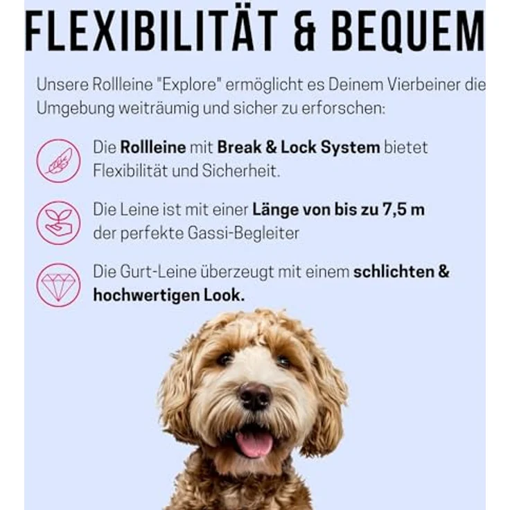 KONG ausrollbare Hundeleine in 7,5m Länge I Für große Hunde bis 50kg I Größe L I Hochwertige Rollleine mit Break & Lock System in rot I komfortable Leine mit Softgriff & reflektierendem Gurt – Bild 2